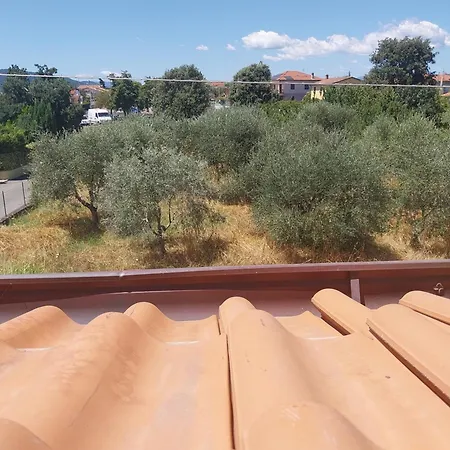 Ornella Apartment Luni
