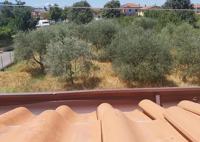 Ornella Apartment Luni